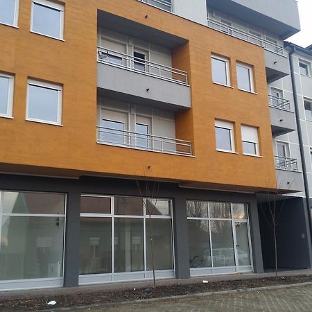 Apartment Jelena Becicherecul Mare Exterior foto