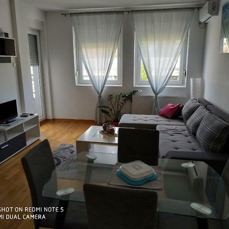 Apartment Jelena Becicherecul Mare Exterior foto