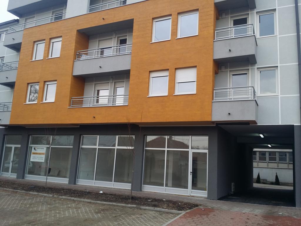 Apartment Jelena Becicherecul Mare Exterior foto