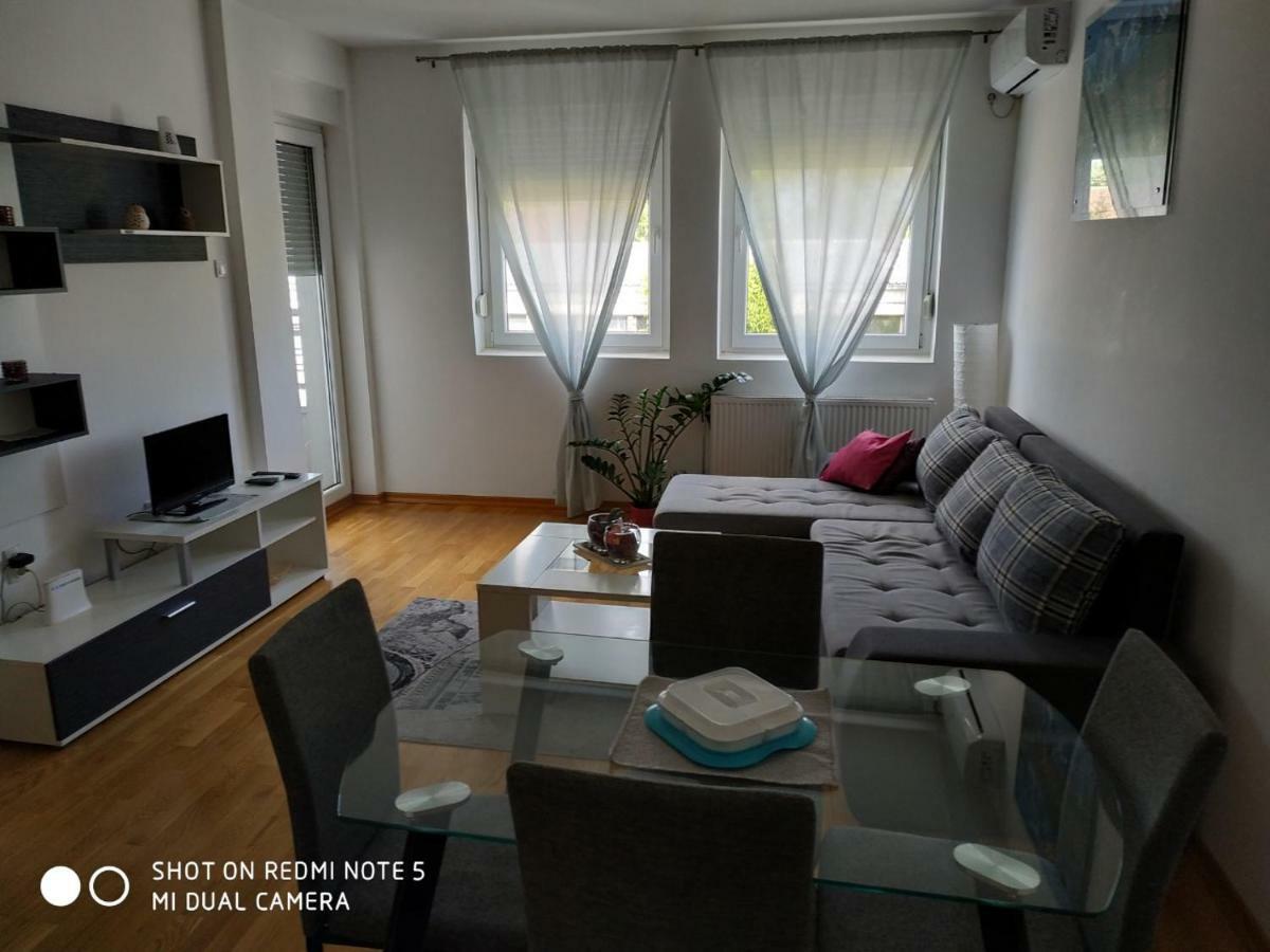 Apartment Jelena Becicherecul Mare Exterior foto